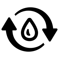 Circulación sanguínea
